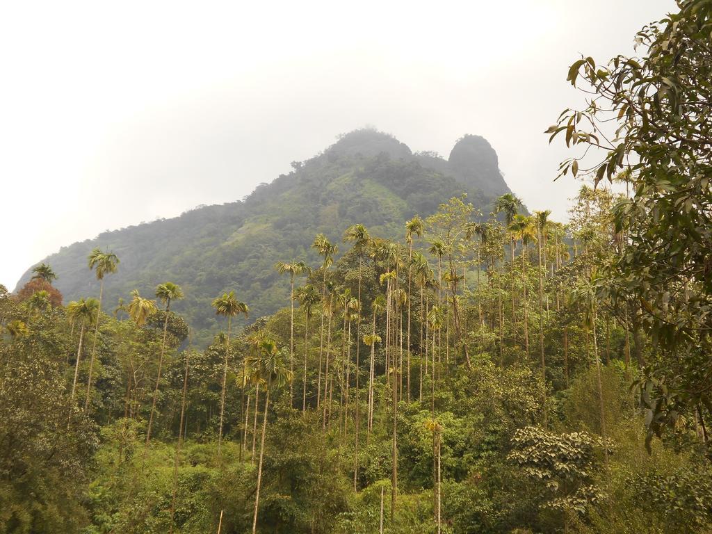 White Water Woods Resort ไวทีรี ภายนอก รูปภาพ