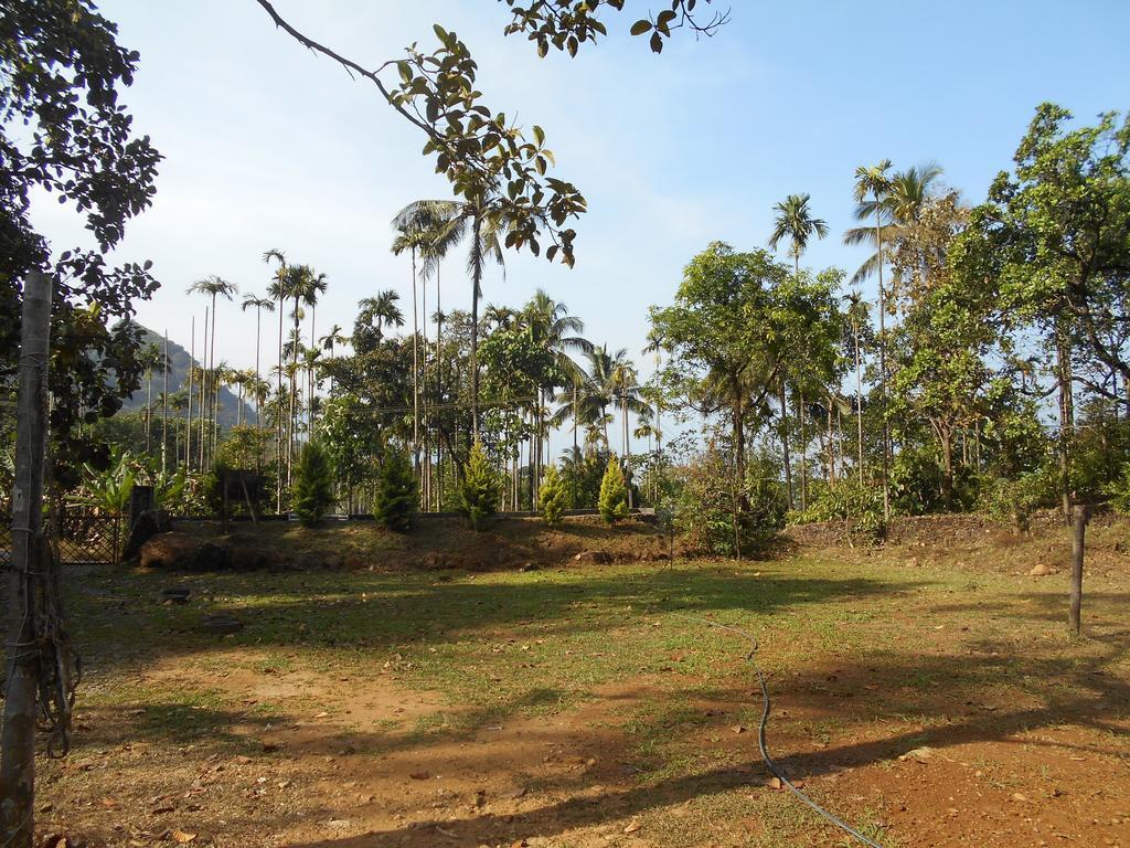 White Water Woods Resort ไวทีรี ภายนอก รูปภาพ