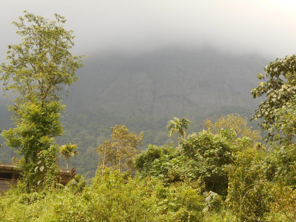 White Water Woods Resort ไวทีรี ภายนอก รูปภาพ